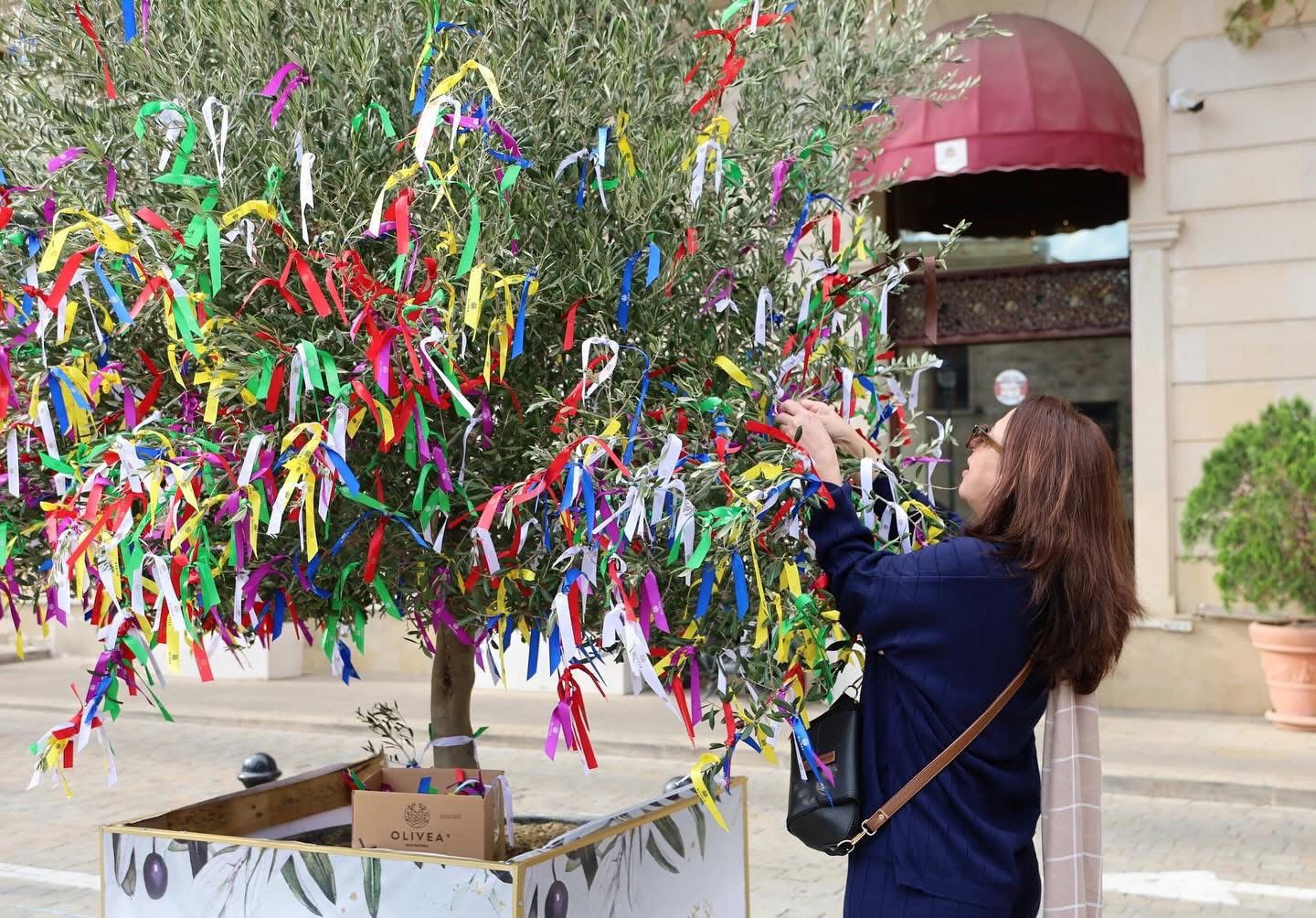 The Olive Festival, Reflecting the Colors of Autumn, Has Come to an End